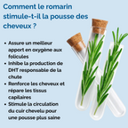 Sérum Roll-on Repousse Ciblée Reivita – Repousse des tempes et golfes dégarnis